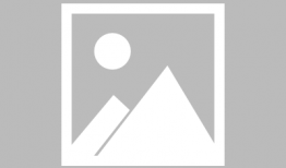 吃瓜娱乐圈章子怡是谁啊,娱乐圈的璀璨明星